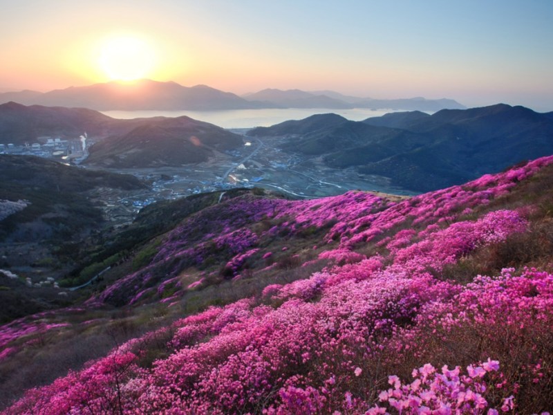 Tour Through Time: Stop 28: Yeong-Chwisan&nbsp;Mountain